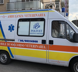 immagine ambulanza veterinaria Roma