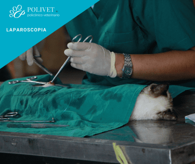 sterilizzazione in laparoscopia