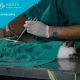 sterilizzazione in laparoscopia