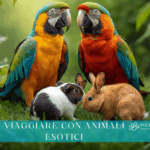viaggiare con animali esotici