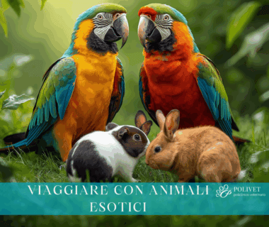 viaggiare con animali esotici