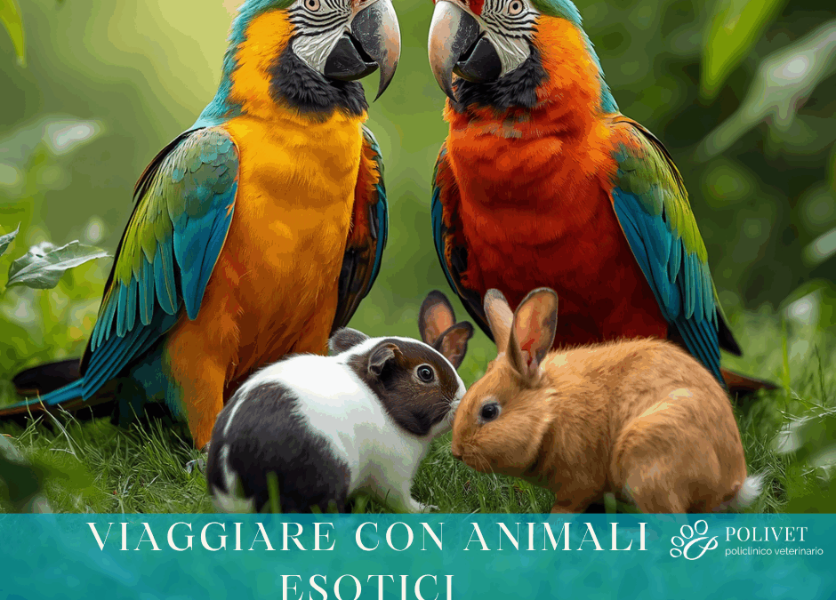 viaggiare con animali esotici