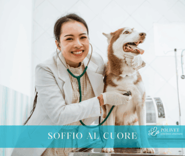 soffio al cuore